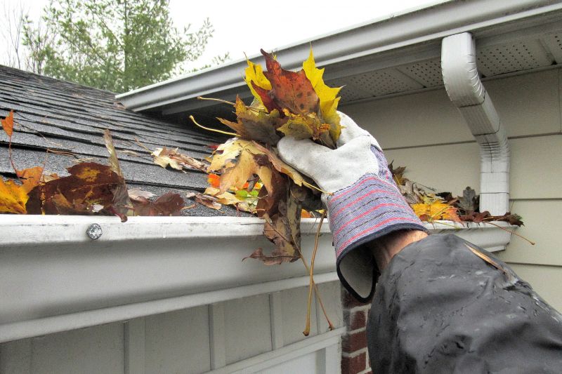 Downspout Cleaning in Annapolis, MD