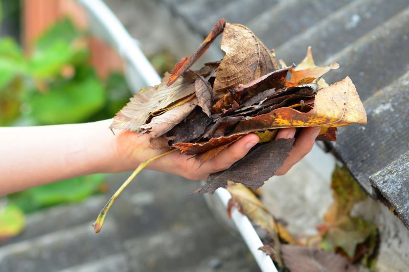 Gutter Leaves Removal in Longmont, CO