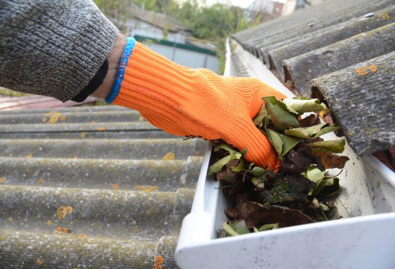 Gutter Leaves Removal in Frederick, MD